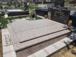 Rosa_Porinjo_06.jpg
